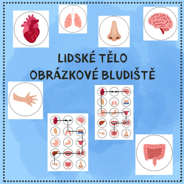obrázkové bludiště - LIDSKÉ TĚLO 1
