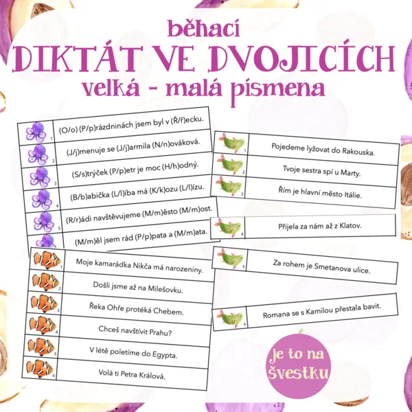 běhací DIKTÁT VE DVOJICÍCH nebo samostatně - velká / malá písmena 1