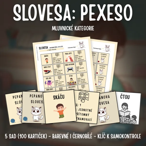 SLOVESA - mluvnické kategorie: PEXESO (5 sad - 100 kartiček) 1