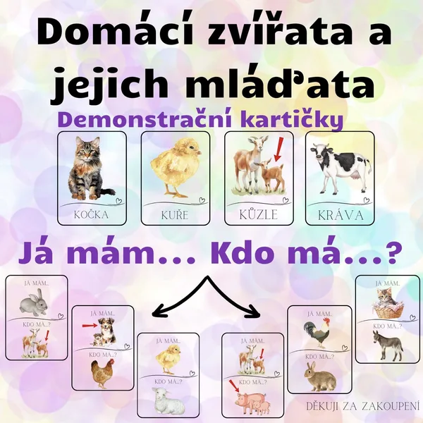 Domácí zvířata a jejich mláďata - Já mám. Kdo má? + Demonstrační kartičky 1