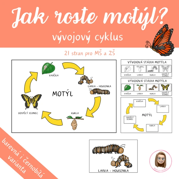 MOTÝL - vývojový cyklus 1