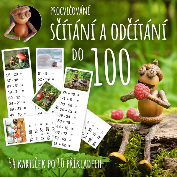 Procvičování sčítání a odčítání do 100 s dubánky 1