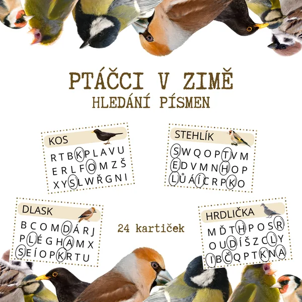 PTÁČCI V ZIMĚ - hledání písmen 1