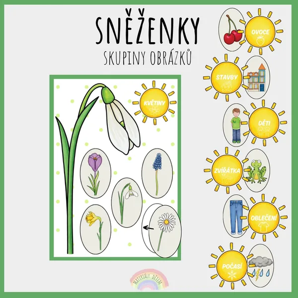 Sněženky, skupiny obrázků 1