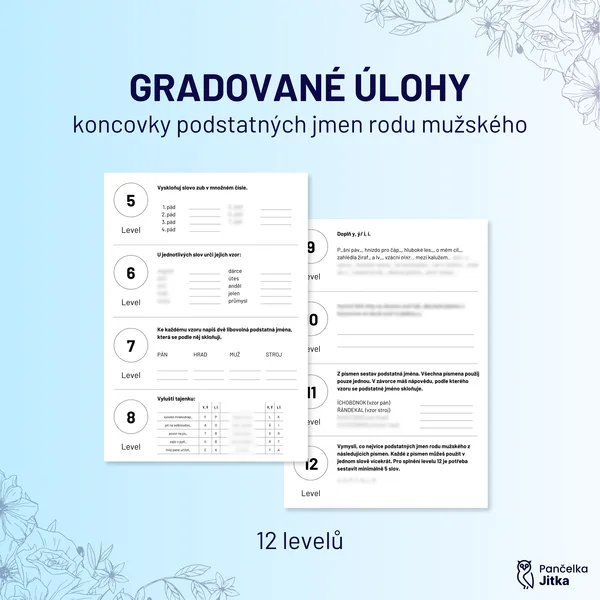 GRADOVANÉ ÚLOHY - skloňování podstatných jmen rodu mužského 1
