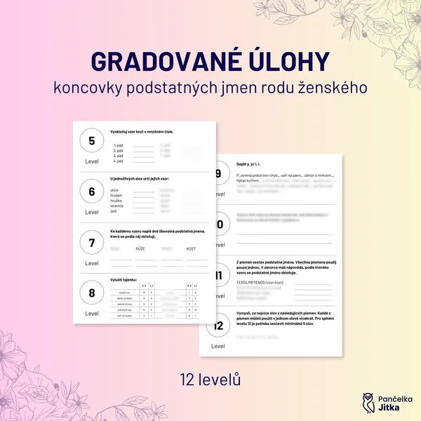 GRADOVANÉ ÚLOHY - skloňování podstatných jmen rodu ženského 1
