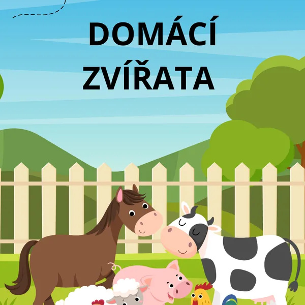 Domácí zvířata 🐶 1