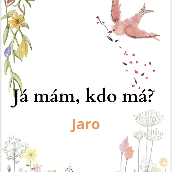 JÁ MÁM, KDO MÁ - 🌸JARO🌸 1