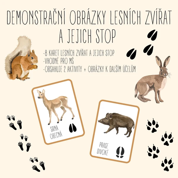 Demonstrační karty lesních zvířat a jejich stop 1