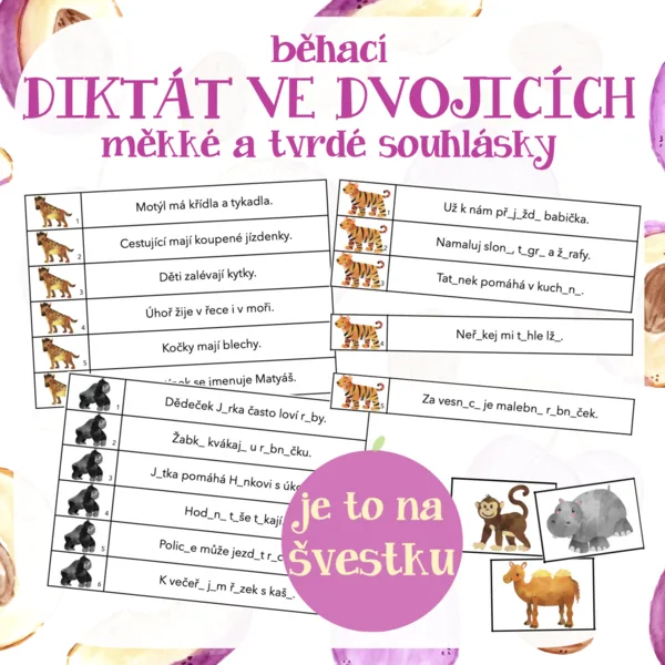běhací DIKTÁT VE DVOJICÍCH nebo samostatně - měkké a tvrdé souhlásky 1