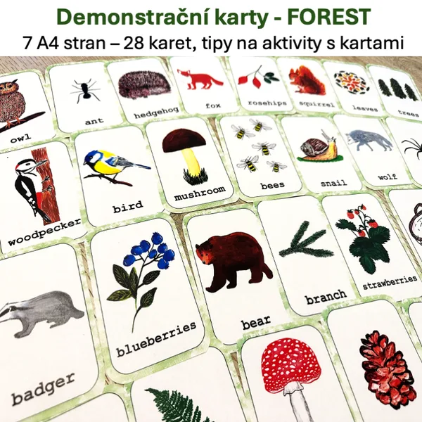 Demonstrační karty - Forest 1
