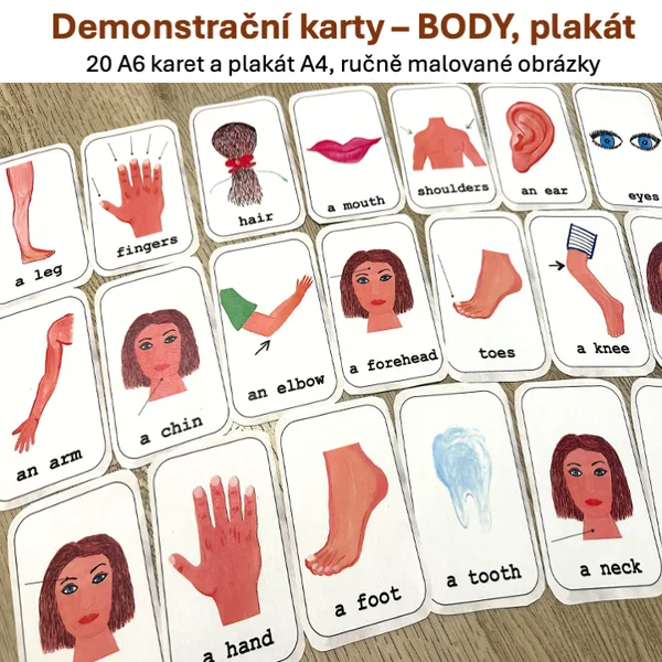 Demonstrační karty, plakát - BODY 1