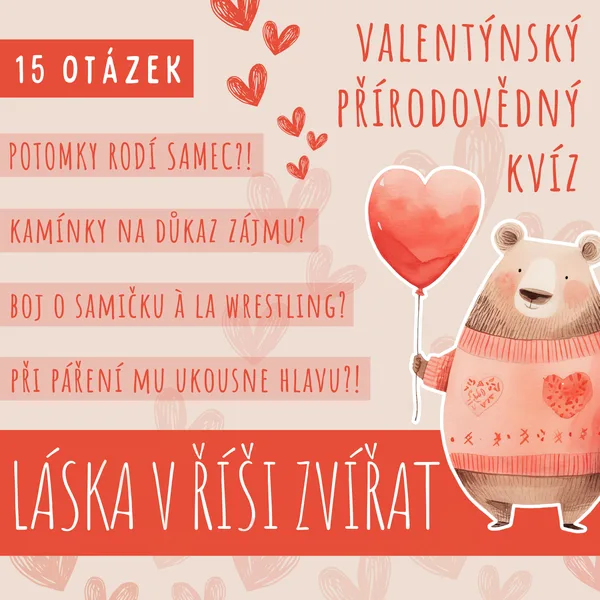LÁSKA V ŘÍŠI ZVÍŘAT - valentýnský přírodovědný kvíz 1