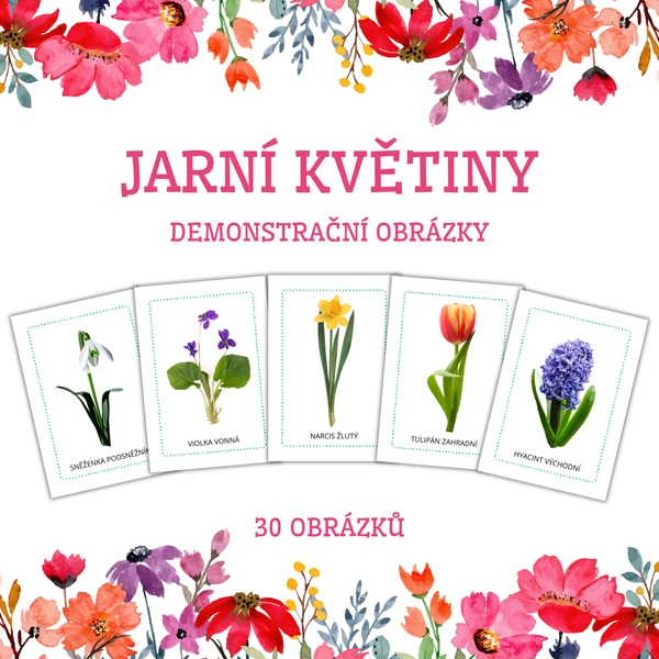 JARNÍ KVĚTINY - demonstrační obrázky 1