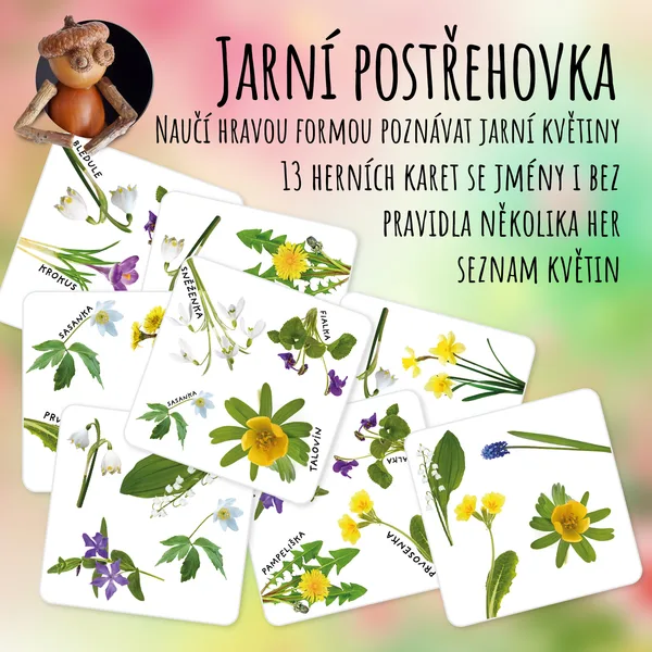 Postřehovka s jarními květinami 1
