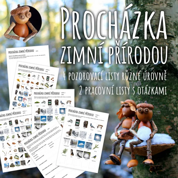 Procházka zimní přírodou 1
