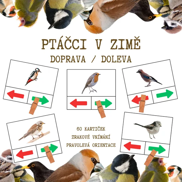 PTÁČCI V ZIMĚ - Doprava / doleva? 1