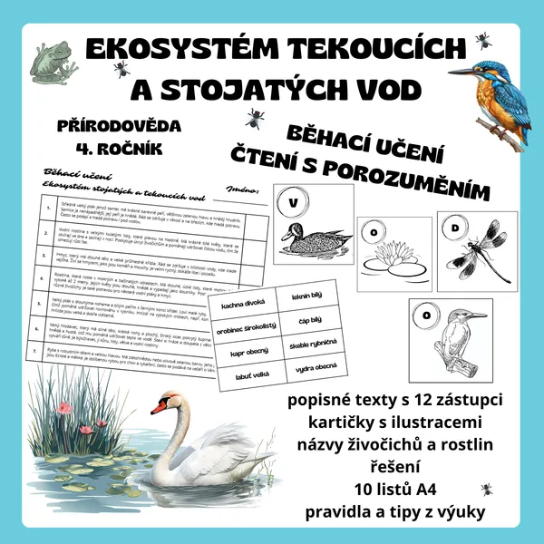 Běhačka a čtení s porozuměním - Ekosystém tekoucích a stojatých vod 1