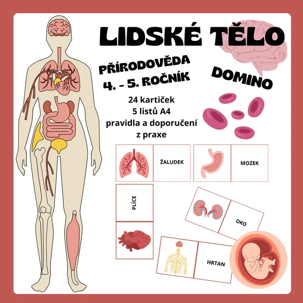 DOMINO - Lidské tělo 1