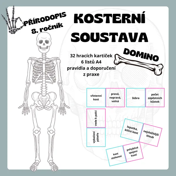 DOMINO - Kosterní soustava 1