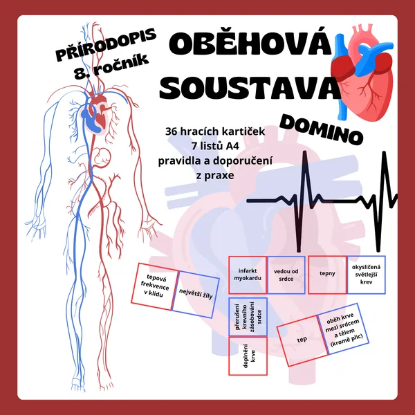 DOMINO - Oběhová soustava 1