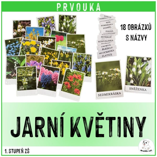 Jarní květiny 1