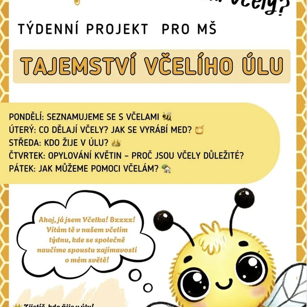 Včely - projekt  1