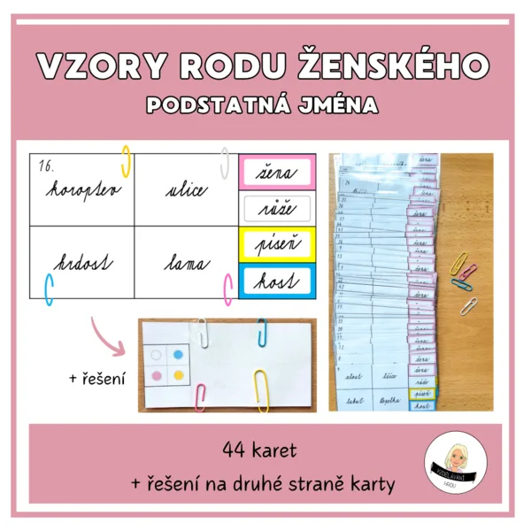 Vzory rodu ženského - podstatná jména 1