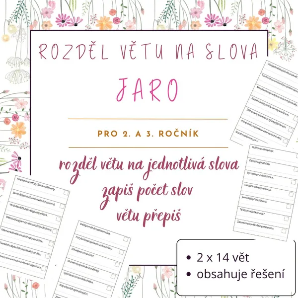 Rozděl větu na slova a přepiš - JARO 1