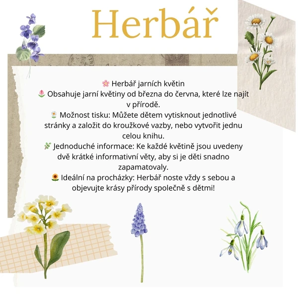 Herbář 🌼 1