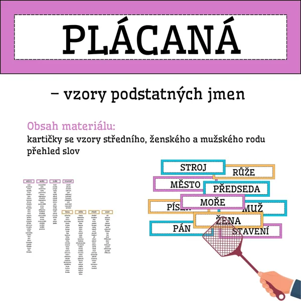 PLÁCANÁ - vzory podstatných jmen 1