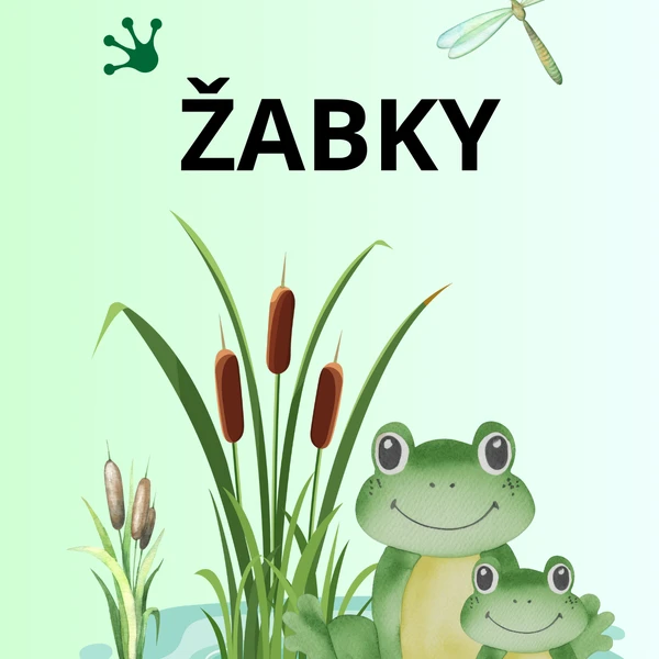 ŽABKY 🐸 1