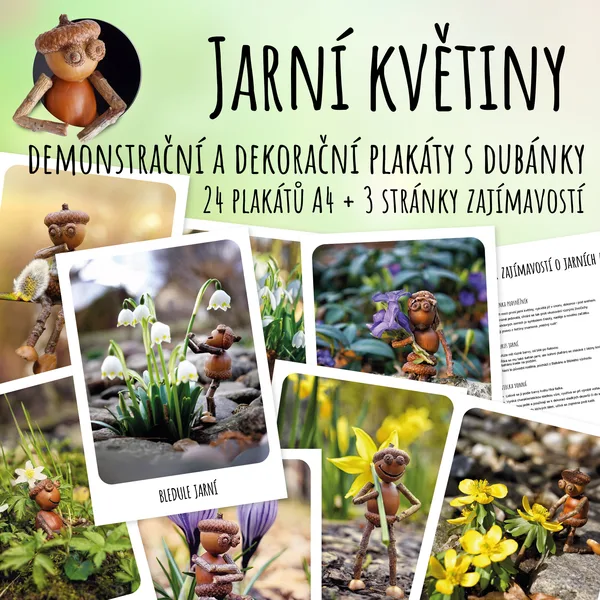 Jarní květiny - demonstrační a dekorační plakáty s dubánky 1