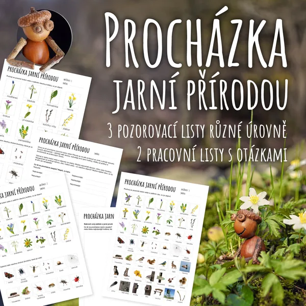 Procházka jarní přírodou 1