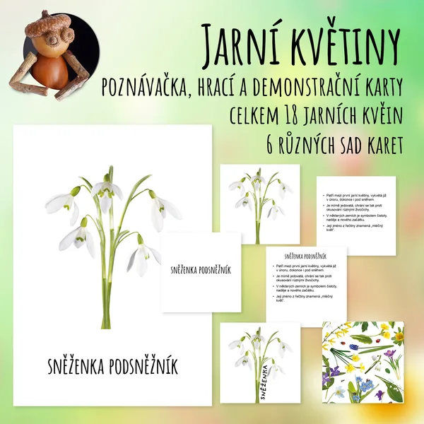 Jarní květiny - poznávačka, hrací a demonstrační karty 1