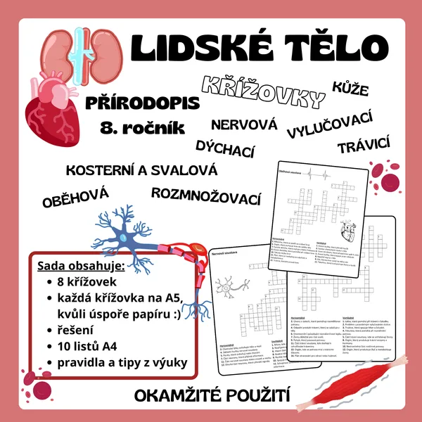 Křížovky - Lidské tělo 1