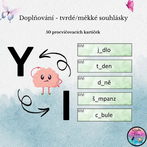 Doplňování - tvrdé/měkké souhlásky 1
