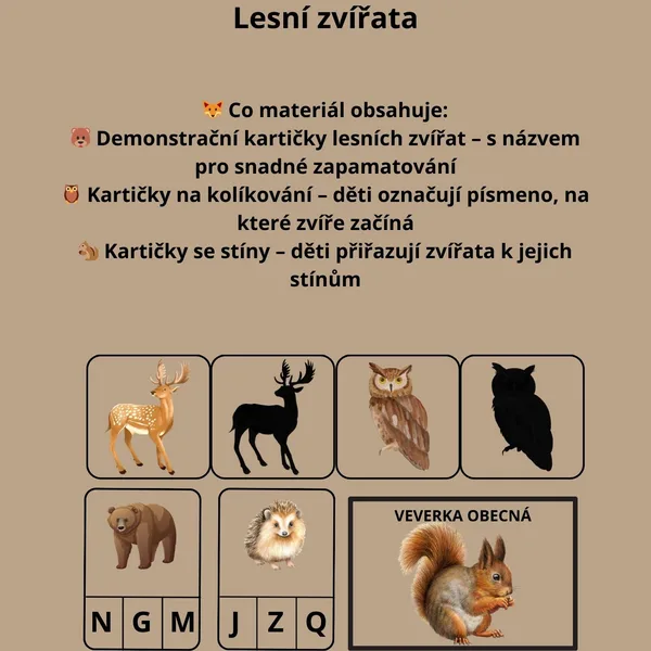 Lesní zvířata 🦊🐾 1