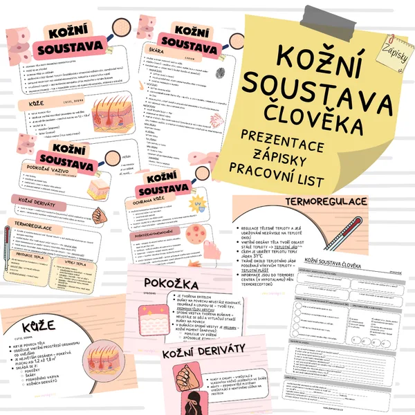 Kožní soustava člověka 1
