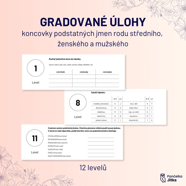Gradované úlohy - koncovky podstatných jmen rodu středního, ženského a mužského 1