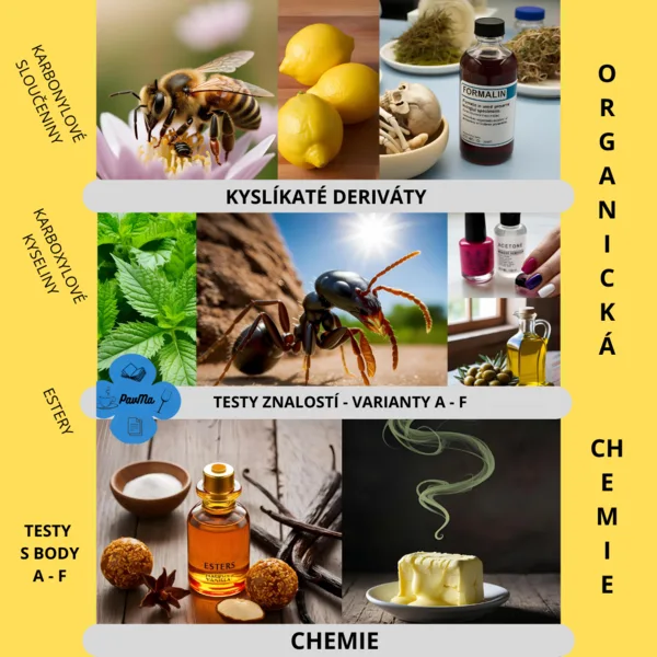 CHEMIE: Soubor testů s řešením a bodováním - Kyslíkaté deriváty v organice 1