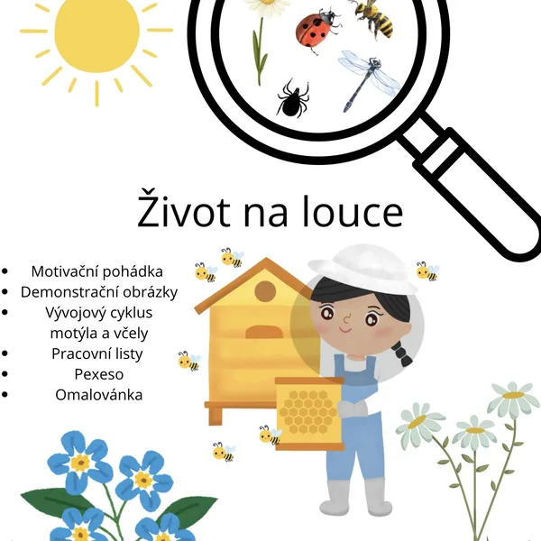 Život na louce - aktivity 🐝🦋 1