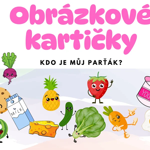 Karty - Kdo je můj parťák 1