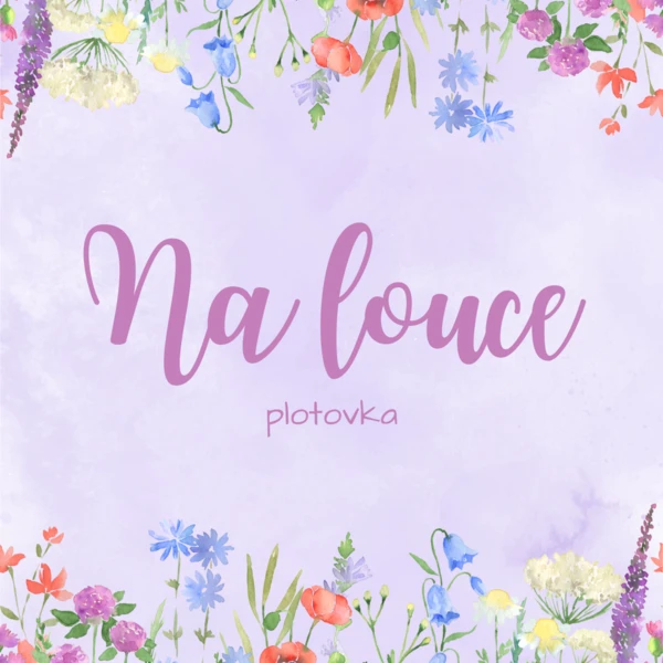 Na louce - plotovka 1