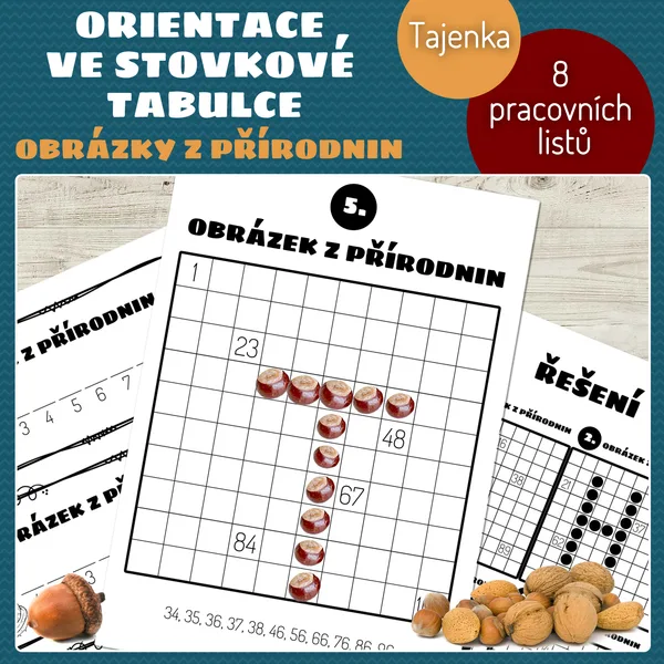 Orientace ve stovkové tabulce - obrázky z přírodnin 1