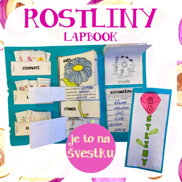 Rostliny - lapbook 1