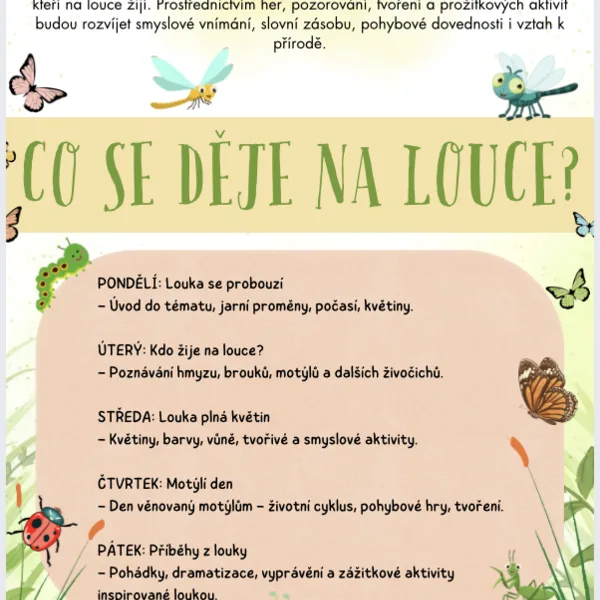 Jarní louka - brouci, květiny, jaro 1