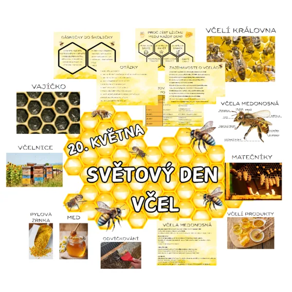Včela medonosná - Světový den včel 1
