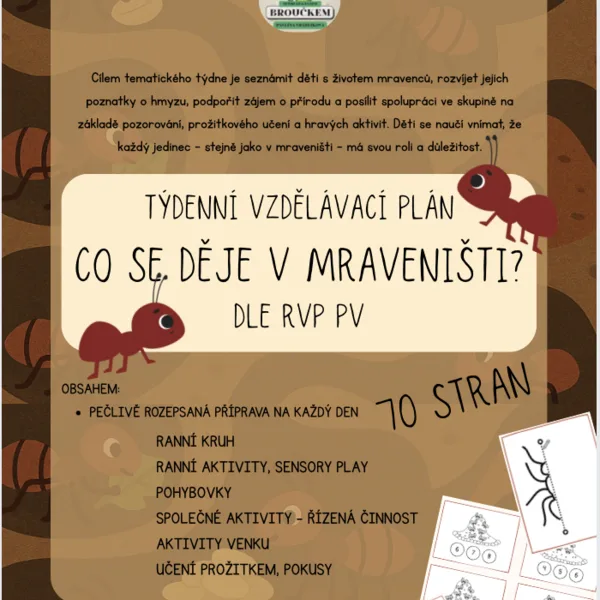 Mravenci- co se děje v mraveništi? (Hmyz, příroda) 1
