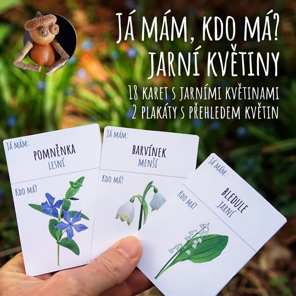 Jarní květiny - já mám, kdo má? 1